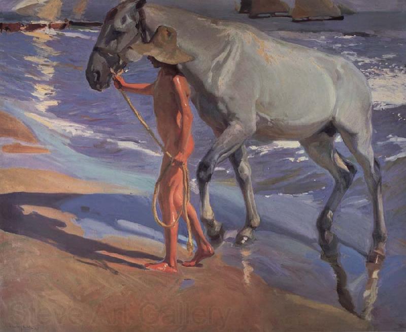 Joaquin Sorolla Y Bastida The bathing of the horse Norge oil painting art